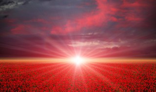 关于日落晚霞的句子 描写日落晚霞的短句