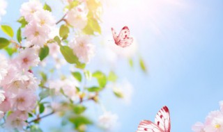 向往春天的长句 向往春天的长句怎么写