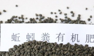 蚯蚓粪如何做有机肥 蚯蚓粪如何做有机肥用