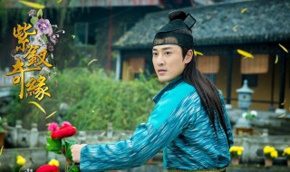 紫钗奇缘纳兰东身世 紫钗奇缘纳兰慈瑞身份