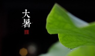 小暑和大暑有什么区别（小暑和大暑有什么区别图片）