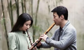 夜孔雀到底在讲什么 夜孔雀讲的到底是什么