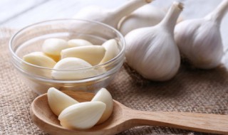 蒜头发芽了还能吃吗 蒜头发芽了还能吃吗(大蒜发芽了还能食用吗