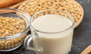 破壁机打豆浆的正确方法 破壁机打豆浆的正确方法和步骤