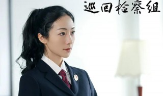 巡回检察组演员表介绍（巡回检察组演员表介绍王海燕）