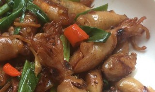 香煎鱿鱼仔如何做（香煎鱿鱼干的做法）