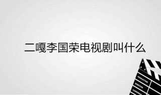 李国荣二嘎是什么电视剧（李国荣二嘎是什么电视剧小说）