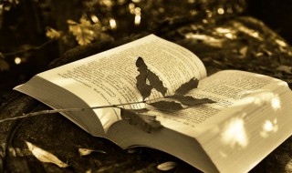 降温温馨提示（幼儿园秋季降温温馨提示）