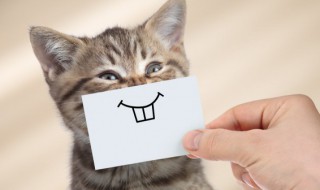 拿什么东西不用手 猜灯谜拿什么东西不用手