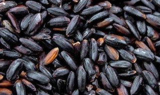 紫米的营养价值 紫米的营养价值及功效与作用及禁忌