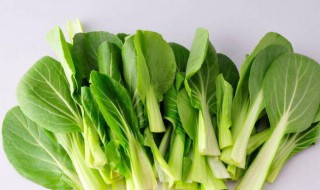 鸡毛菜的营养价值（鸡毛菜 营养价值）