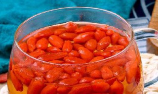 枸杞泡水的功效与作用 西洋参片与枸杞泡水的功效与作用