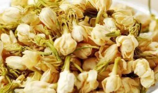 茉莉的作用与功效（茉莉的作用与功效与作）