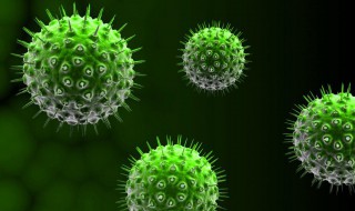 细菌有哪些种类（常见的蓝细菌有哪些种类）