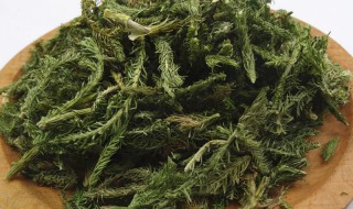 伸筋草的作用（海风藤伸筋草的作用）