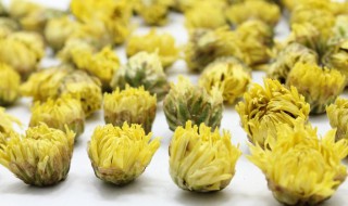 胎菊怎么泡（胎菊怎么泡着绿了）