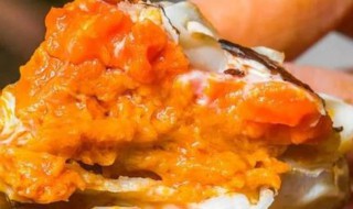 蟹黄是公蟹还是母蟹（蟹黄是公蟹还是母蟹多）