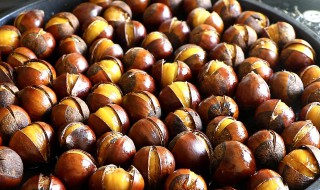 自己在家煮栗子怎么才能好剥皮（自己在家煮栗子怎么才能好剥皮呢）