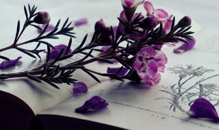 如何赞扬对方医技好（如何赞扬对方医技好的话）