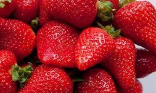草莓温度控制方法（草莓温度控制方法图）