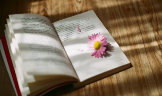 建满平收黑除危定执黄是什么意思