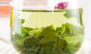荷叶茶泡水正确方法（荷叶茶泡水正确方法窍门）