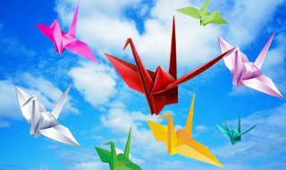 千纸鹤有什么含义（千纸鹤代表什么含义）