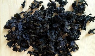 人工地皮菜的养殖方法和注意事项（地皮菜的养殖技术）