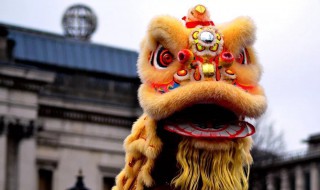 醒狮的外形特点 醒狮的外形特点作文