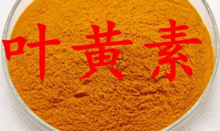 叶黄素有什么副作用 长期服用叶黄素有什么副作用