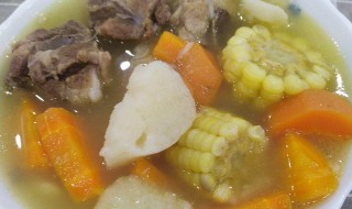 胡萝卜炖龙骨如何做 胡萝卜炖龙骨的做法