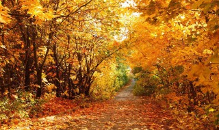 形容秋天清晨的景色的句子(形容秋天清晨的景色的句子简短)