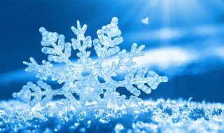 关于雪花的唯美句子 关于雪花的唯美句子简短