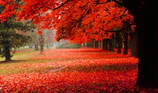 写秋天悠然意境的句子（用悠然和意境写一个描写秋天景色的句子）