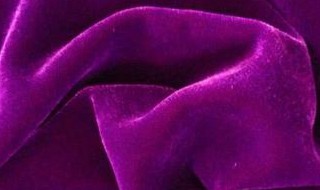 丝绒是什么面料（百分百真丝丝绒是什么面料）