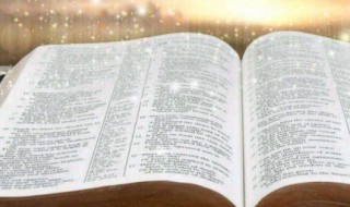 春风又绿江南岸什么意思 春风又绿江南岸什么意思什么比喻