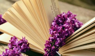 得饶人处且饶人什么意思 得饶人处且饶人什么意思得时快乐且快乐!