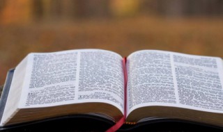 上善如水是什么意思（学水之善,上善若水是什么意思）