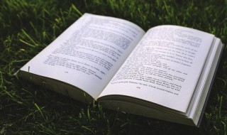 腊八节喝腊八粥的意义作文800字（关于腊八节喝腊八粥的作文）