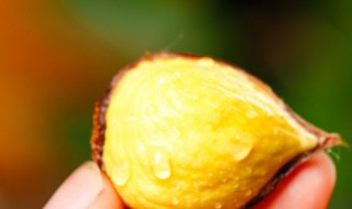 丹东特产 丹东特产必买有哪些