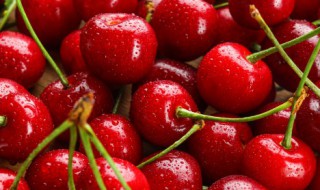 阜阳特产（阜阳特产小吃可带走的）