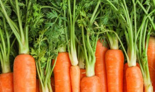 胡萝卜怎么切成菱形(胡萝卜怎么切成菱形状)