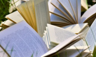 傻狍子什么意思（傻狍子什么意思子怎么读）