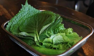 新鲜苏子叶可以冷冻保存吗 新鲜苏子叶可以冷冻保存吗百度