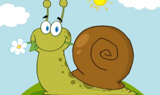 蜗牛壳碎了还能长好吗 蜗牛壳碎了还能自己长好吗