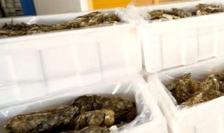 海鲜快递运输方法（海鲜快递运输方法是什么）