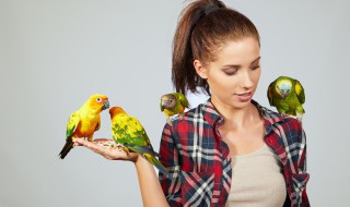 我国共有多少种鸟类(我国一共有多少种鸟)