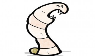 去潮虫的方法（去潮虫的方法视频）