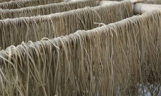 粉条会过期吗 粉条会过期吗还能吃吗