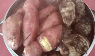 芋头和红薯哪个热量高（芋头和红薯哪个热量高一些）